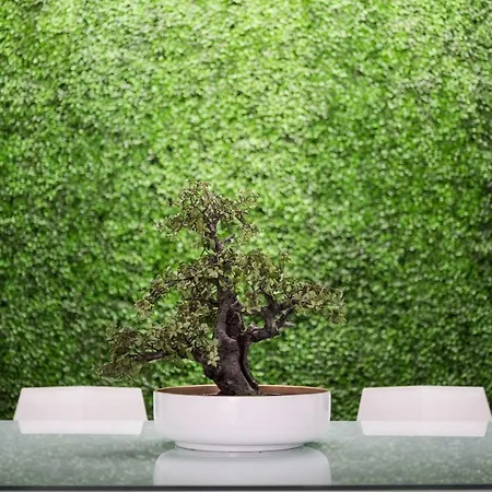 Vandrerhjem Optimi Bilbao