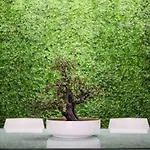 Hostel Optimi Bilbao