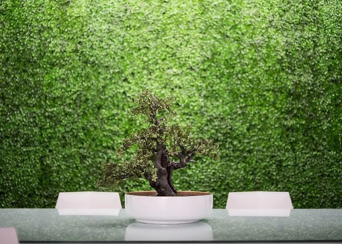 Хостел Optimi Бильбао