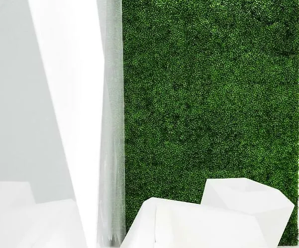 Optimi * Бильбао